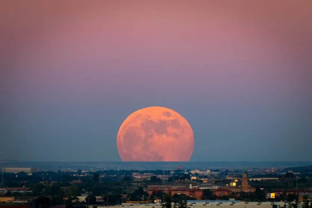 Lua morango