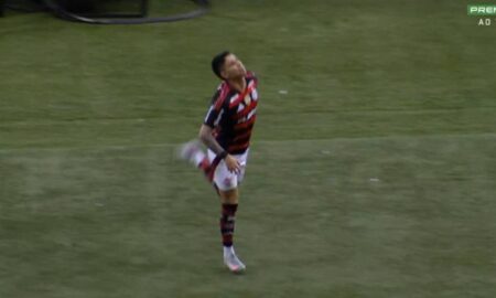 saci luiz araujo