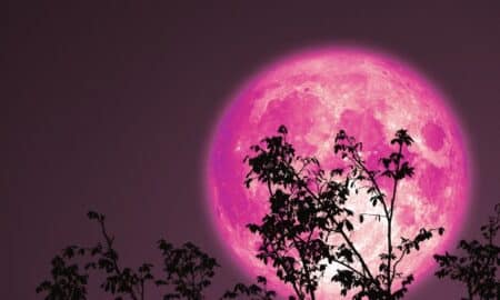 strawberry moon