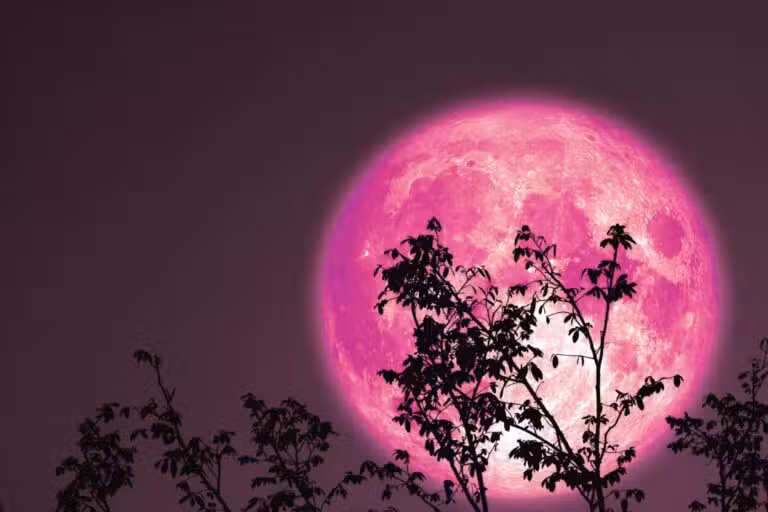 strawberry moon