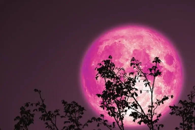 strawberry moon