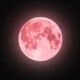 Strawberry moon
