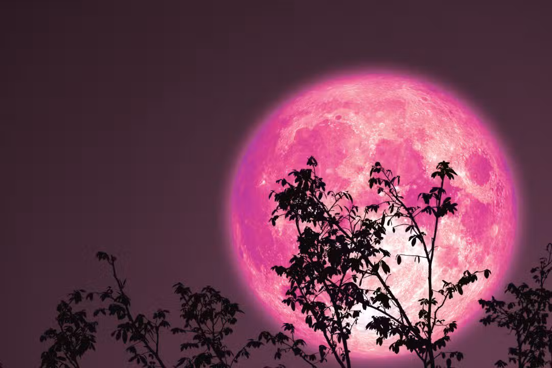 strawberry moon