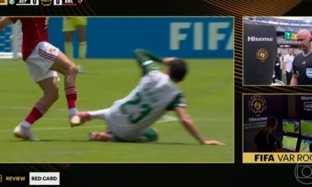 var palmeiras veiga