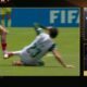 var palmeiras veiga