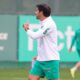 Abel Ferreira