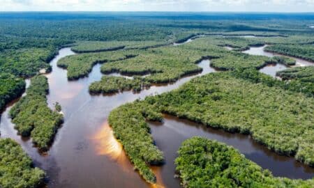 Amazonia