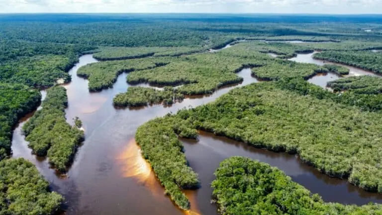 Amazonia