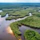 Amazonia