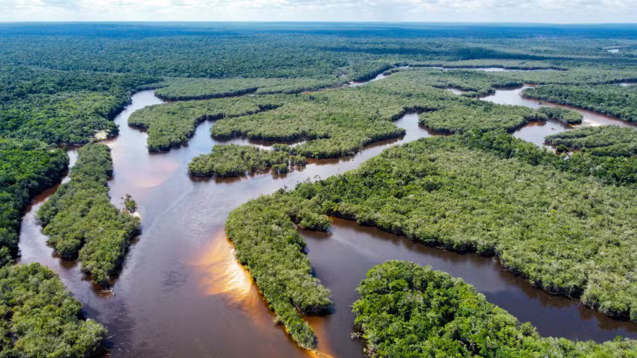 Amazonia