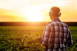 Conselho da Previdência Social valida quase oito anos de trabalho rural negado pelo INSS