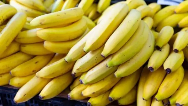 Banana