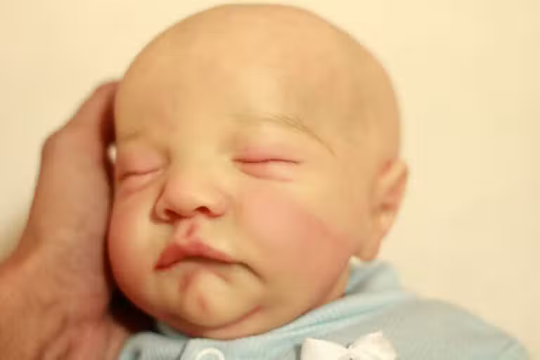 Bebê reborn