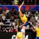 Brasil volei