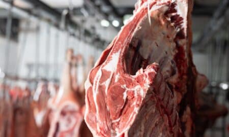 Carne e Frigorífico