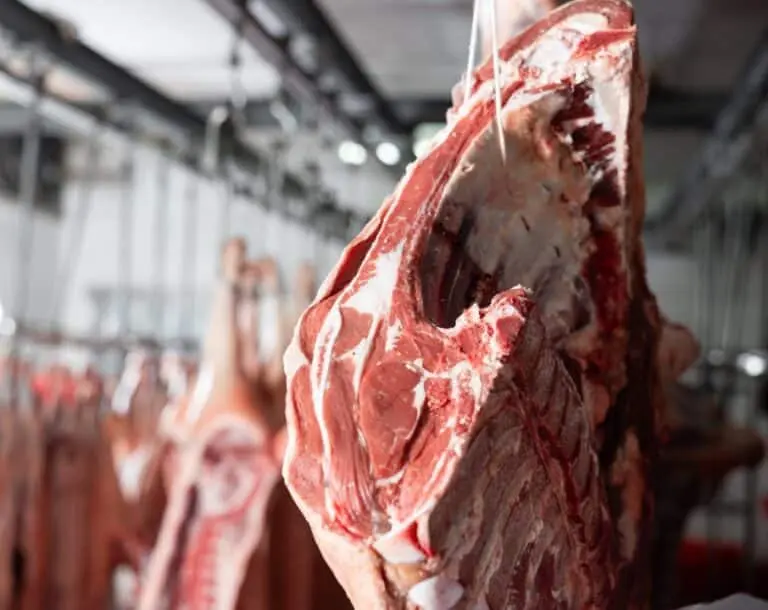 Carne e Frigorífico