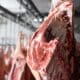 Carne e Frigorífico