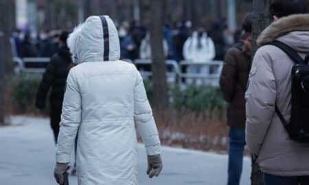 Frio