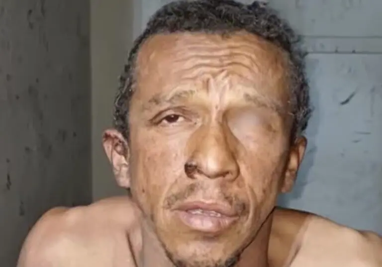 Galo cego