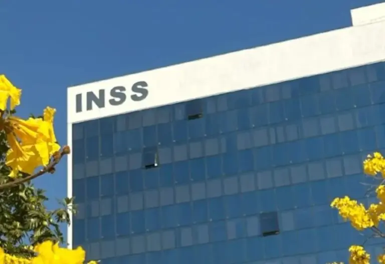 INSS 1