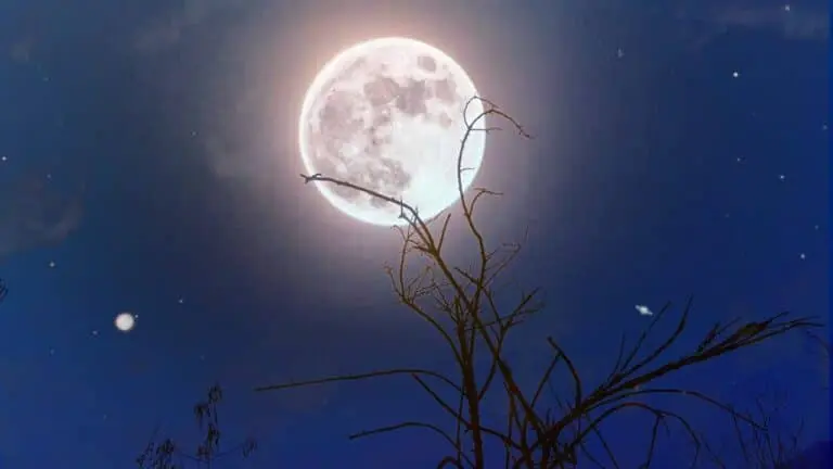Lua
