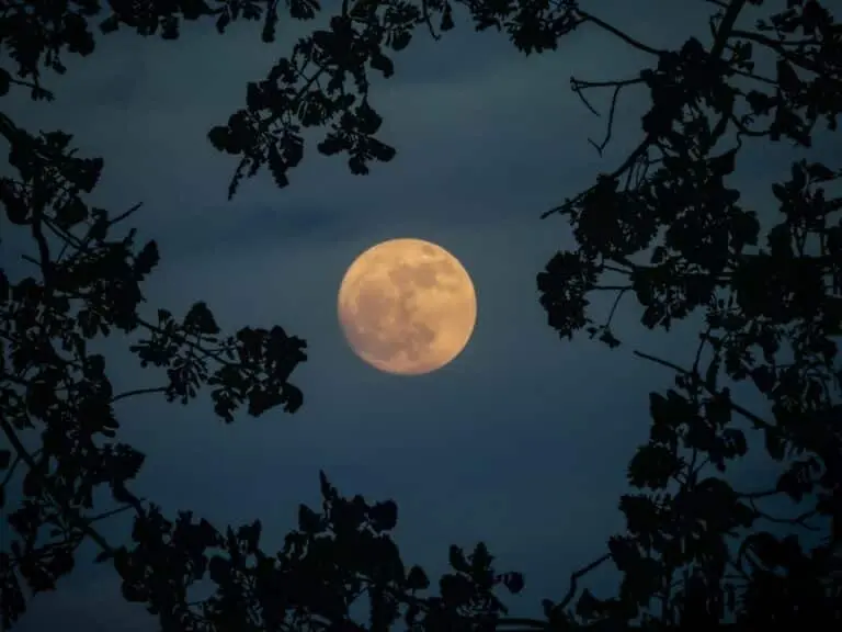 Lua cheia