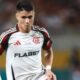 Luiz Araujo Flamengo