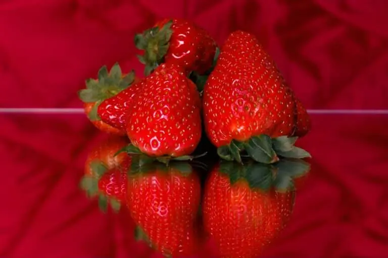 Morango