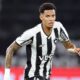 Newton Botafogo