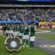 Palmeiras