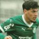 Palmeiras