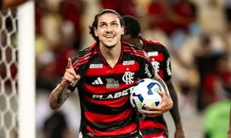 Pedro Flamengo