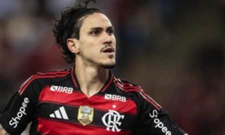 Pedro Flamengo