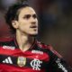 Pedro Flamengo