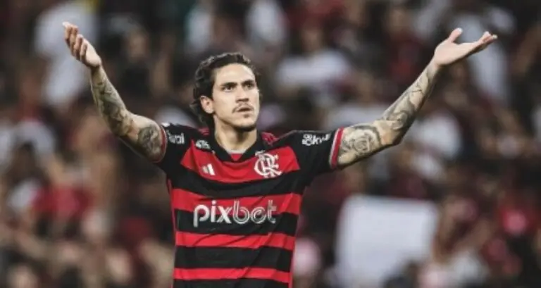 Pedro Flamengo