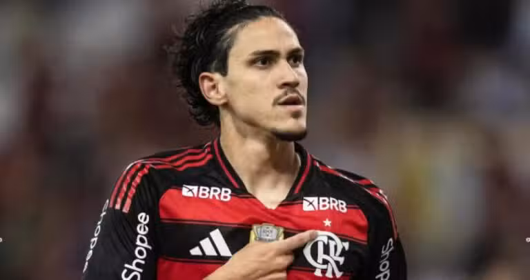 Pedro Flamengo