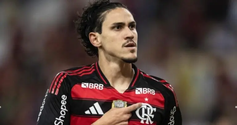 Pedro Flamengo