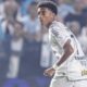 Robinho Jr