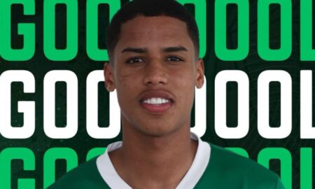Rodrigo Palmeiras