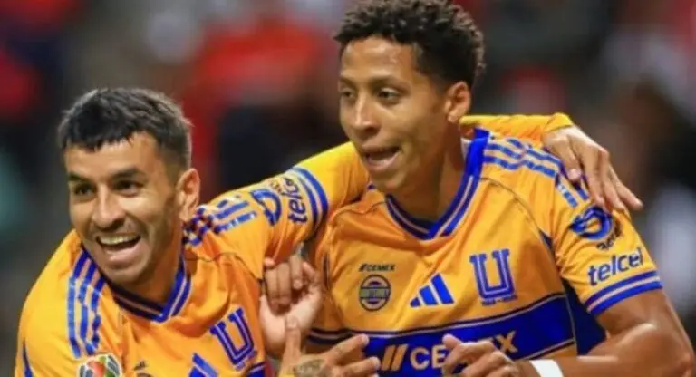 Tigres
