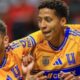 Tigres