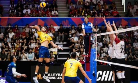 Volei Brasil