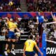 Volei Brasil