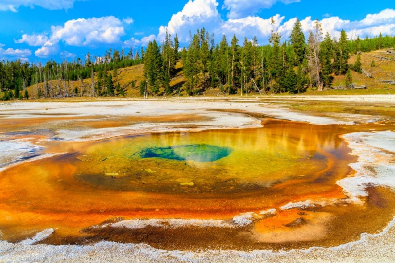 Yellowstone
