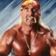 hulk hogan