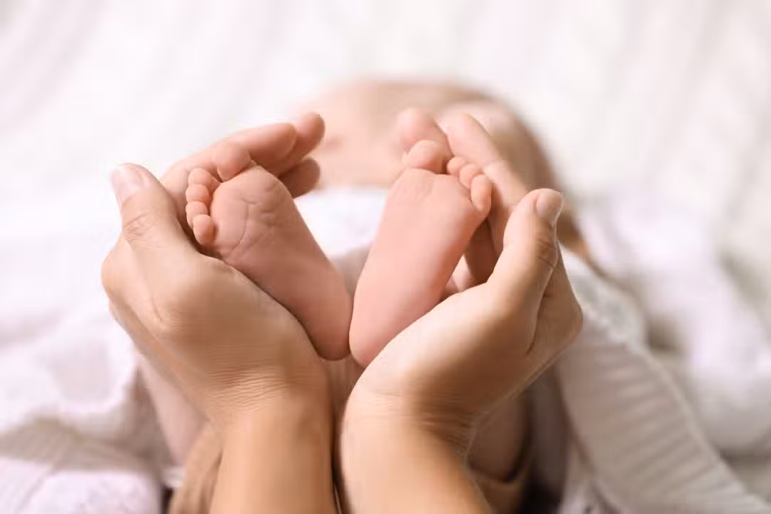 licença maternidade