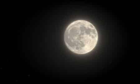 lua do veado