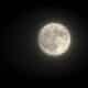 lua do veado