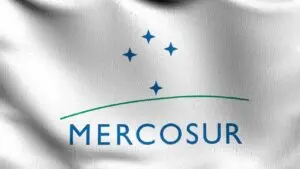 Le Parlement européen approuve des sauvegardes agricoles plus strictes avec une limite de 5 % pour l’accord UE-Mercosur