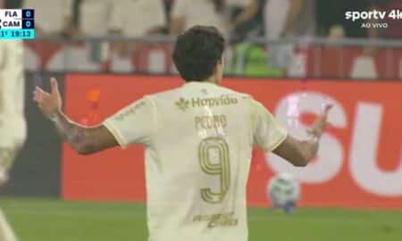 pedro flamengo
